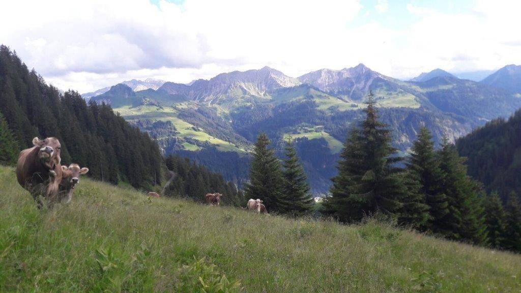 Berghaus Schafer Hotel Faschina Buitenkant foto